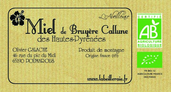 Miel de bruyère callune - bio